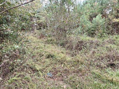 20191104185158961202000000-o[1]