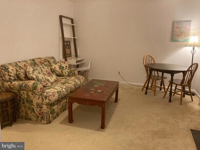 202 Hackley Ct, Purcellville, VA 20132 - photo 6