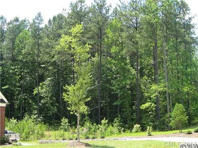 Lot 41 Cottonwood Dr, Denver, NC 28037 - photo 3
