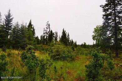 DSC_0004