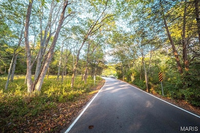 3107 Bouquet Rd, Glencoe, MO 63038 - photo 2