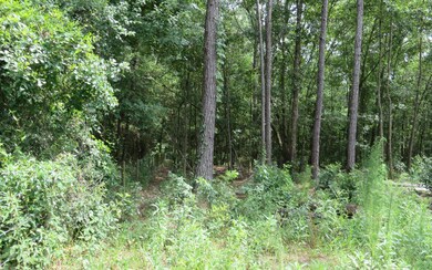 0 SE Family Rd unit 91064, Lake City, FL 32025 - photo 2