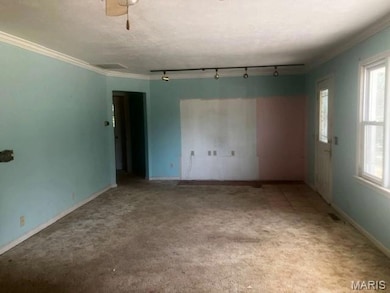 6 W Taylor St, Dexter, MO 63841 - photo 2