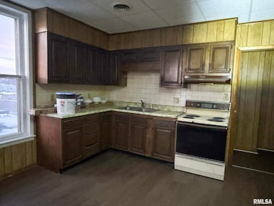 230 E Chestnut St, Canton, IL 61520 - photo 3