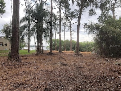 674 Nemo Dr, Sebring, FL 33870 - photo 5