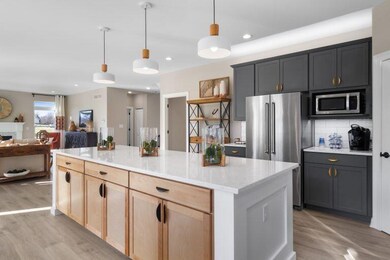 2795 E 105th Ave, Crown Point, IN 46307 - photo 6