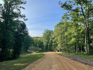 3829 Highway 25, Iuka, MS 38852 - photo 2