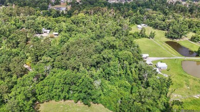 29809 S Cafe Line Rd, Albany, LA 70711 - photo 7