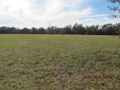 0 E Ivan Rd unit 266241, Crawfordville, FL 32327 - photo 3