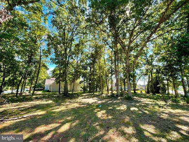 2 Kingsbridge Rd, Rehoboth Beach, DE 19971 - photo 3