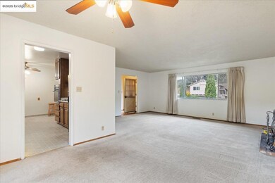 4704 Scotia Ave, Oakland, CA 94605 - photo 7