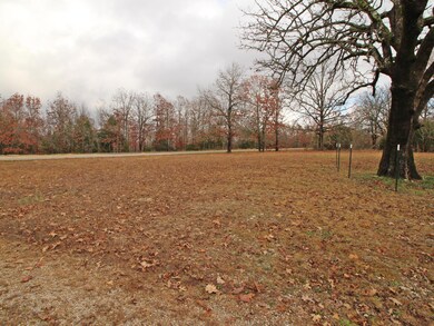 4254 V Hwy, Myrtle, MO 65778 - photo 3