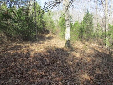 0 Goodbar Rd unit RTC1692001, Mc Minnville, TN 37110 - photo 7