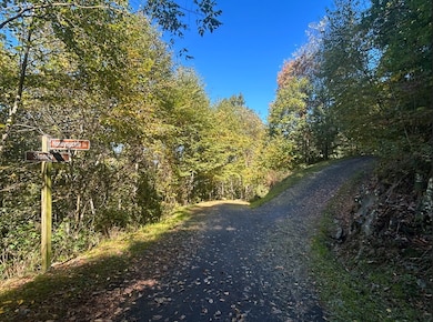 25 25 Stoney Bluff, Bryson City, NC 28803 - photo 2