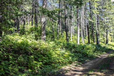 Lot 4 Windham Rd, Sagle, ID 83860 - photo 3