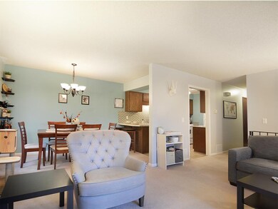 Fucntional socializing space, open kitchen, dining