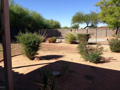 back yard2