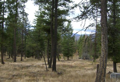 168 Torto Loop, Kila, MT 59920 - photo 5