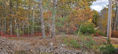 0 Lindsay Ln, South Berwick, ME 03908 - photo 2