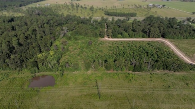 TBD Hwy 171 Hwy, Longville, LA 70652 - photo 5