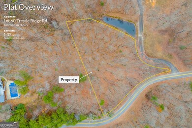 0 Trestle Ridge Rd unit 10654142, Toccoa, GA 30577 - photo 2