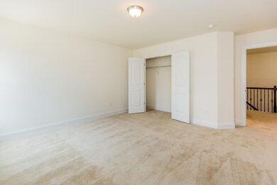 Spacious 3rd Bedroom