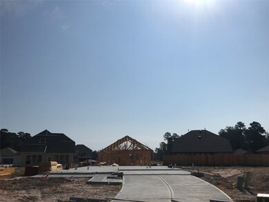 31036 Oakley Glen Ct, Conroe, TX 77385 - photo 4