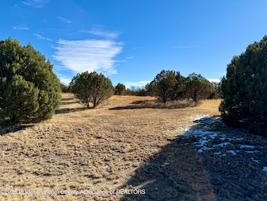 103 Cochiti Ct, Alto, NM 88312 - photo 7