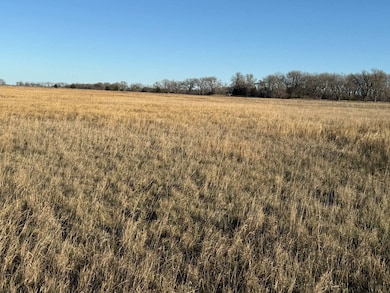 160.52± Acres Holt County, Stuart, NE 68780 - photo 5