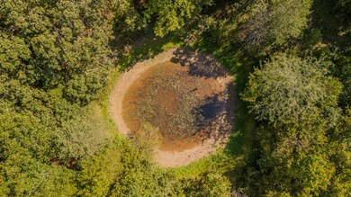 1755 State Hwy O- Tract C, Kissee Mills, MO 65680 - photo 5