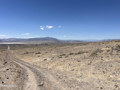 8800 Wildflower Rd, Stagecoach, NV 89429 - photo 5