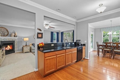 223 Wildlife Trace, Chesapeake, VA 23320 - photo 2