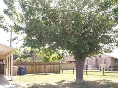 Mature Trees