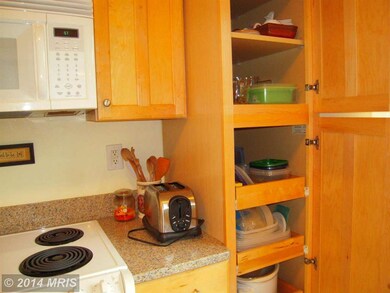 116 Roberts Ln unit 100, Alexandria, VA 22314 - photo 6