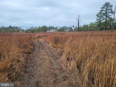 3241 Robbins Rd, Crapo, MD 21626 - photo 6