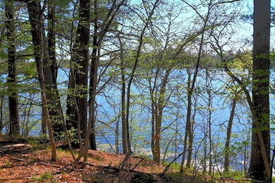 40039 County Road 17, Browerville, MN 56438 - photo 6