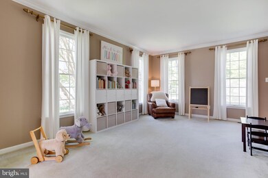 6604 Gleaming Sand Chase, Columbia, MD 21044 - photo 6