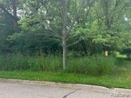 9031 N Island Dr unit 29, Flushing, MI 48433 - photo 3