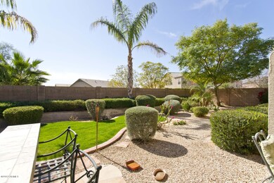 Back yard area