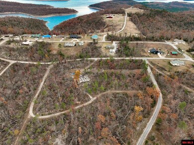 010-01899-000 Hornpipe Ave, Briarcliff, AR 72653 - photo 5