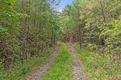 Tract 2 Conniston Rd, Chatsworth, GA 30705 - photo 4