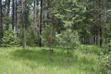Lot 18 Hogans Way, Chewelah, WA 99109 - photo 4