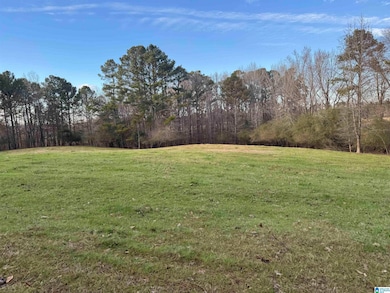 10450 Thermal Rd, Trafford, AL 35172 - photo 3