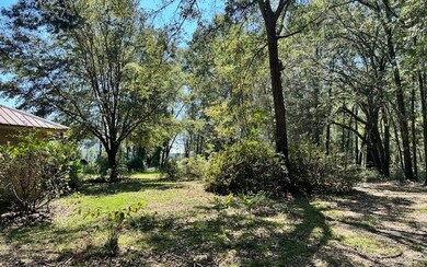 Back side of house