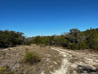 22616 Los Altos Ln, San Antonio, TX 78255 - photo 5