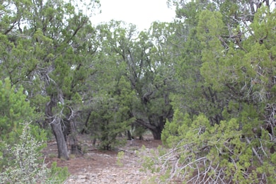 5 Manzano Loop, Five Hills, NM 87059 - photo 7