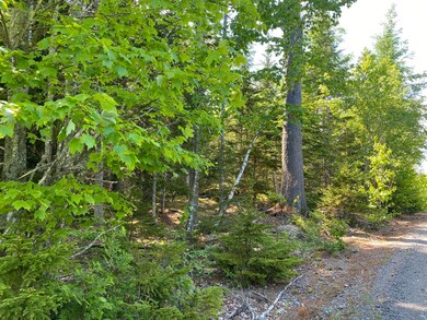 Variety of native trees