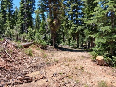 Middle of property