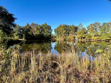 261 N County Line Rd, Sylvester, GA 31791 - photo 4