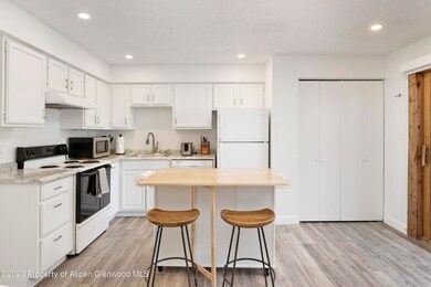 424 Park Cir unit B, Aspen, CO 81611 - photo 4